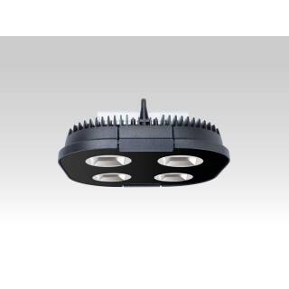 LED 8032 LORD 4 S2