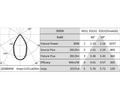 DURALAMP® JAZZ IP65 - Fassadenleuchten - DIM - 30W/3000K  | 2800lm | 55° |