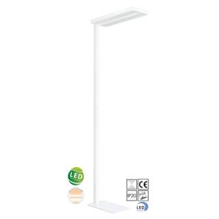 Stehleuchte LED PHILIPS | SOL VII | 90W | 12500lm | 840 | Dimmbar | UGR < 19 | UP-Down