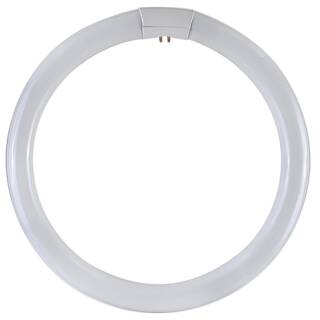 DURALAMP T8 Ring-Leuchtstofflampe - 22W/6500K | 1050lm | G10q | 62,5V | Kaltlicht | DIMMBAR Detailbild 0