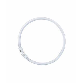 Osram T5 FC 40W/840 Circline / Ring LUMILUX Cool White 2GX13 Detailbild 0