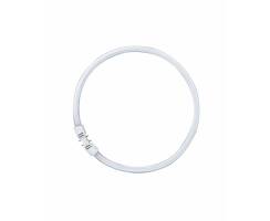 Osram T5 FC 22W/840 Circline / Ring LUMILUX Cool White...
